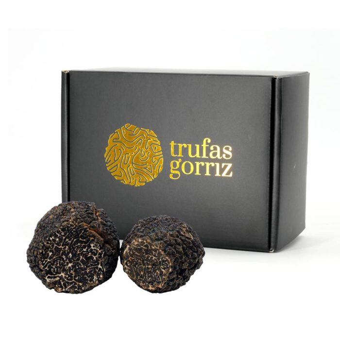 Trufa negra fresca<br>(Tuber melanosporum) - Imagen 2