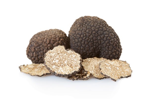 comprar-trufa-negra-teruel